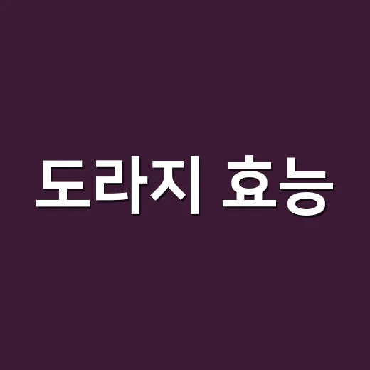 도라지 효능, 목에 좋다는데 매일 먹어도 괜찮을까요? - 요약