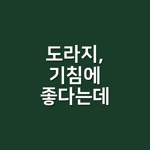 도라지, 기침에 좋다는데 영양제처럼 매일 먹어도 괜찮을까요? - 요약