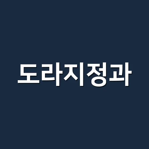 도라지정과, 목에 좋다고 매일 먹어도 괜찮을까요? - 요약