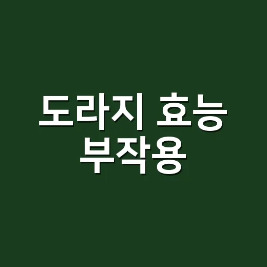 도라지 효능 부작용, 목에 좋다는데 매일 먹어도 괜찮을까요? - 요약
