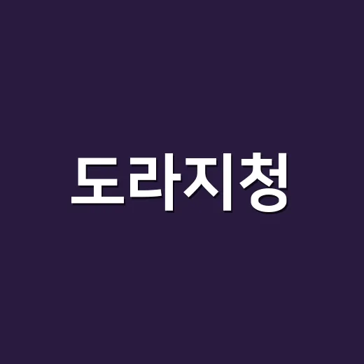 도라지청, 목에 좋다고 매일 먹어도 괜찮을까요? - 요약