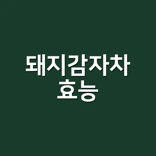 돼지감자차 효능, 혈당에 좋다는데 매일 마셔도 괜찮을까요? - 요약