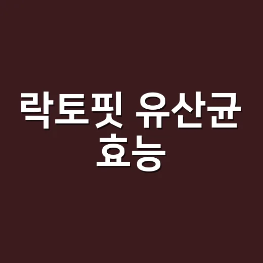 락토핏 유산균 효능, 매일 먹으면 장이 정말 달라질까요? - 요약