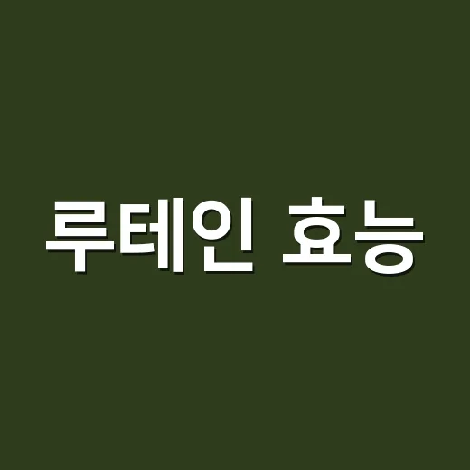 루테인 효능, 눈 피로까지 기대하고 드셔도 될까요? - 요약