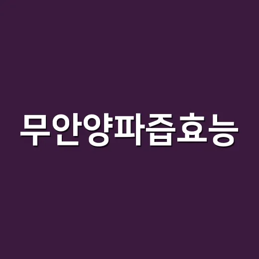 무안양파즙효능, 혈압·혈당에 정말 도움이 될까요? - 요약