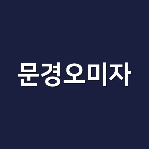 문경오미자, 진액으로 매일 먹어도 괜찮을까요? - 요약