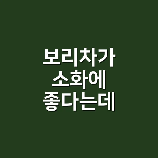 보리차가 소화에 좋다는데, 속 더부룩할 때 정말 도움이 될까요? - 요약