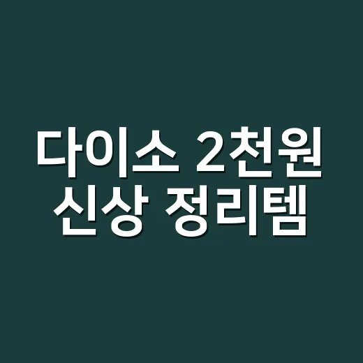 다이소 2천원 신상 정리템, 정말 사도 괜찮을까요? - 요약