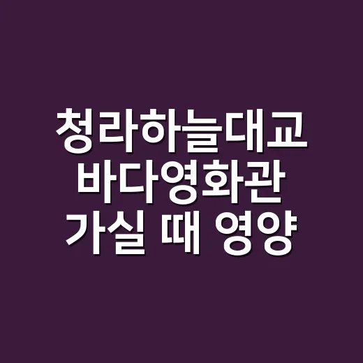 청라하늘대교 바다영화관 가실 때 영양제도 챙기고 계신가요? - 요약
