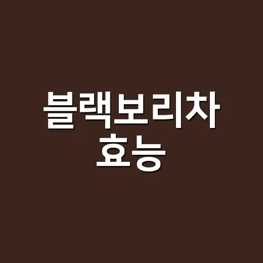 블랙보리차 효능, 물처럼 매일 마셔도 괜찮을까요? - 요약