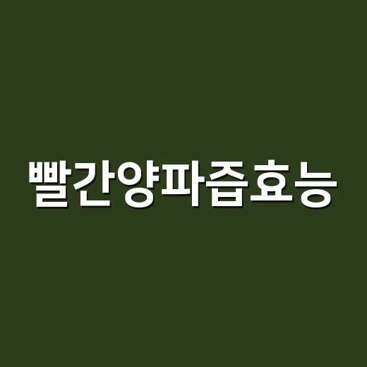 빨간양파즙효능, 혈…