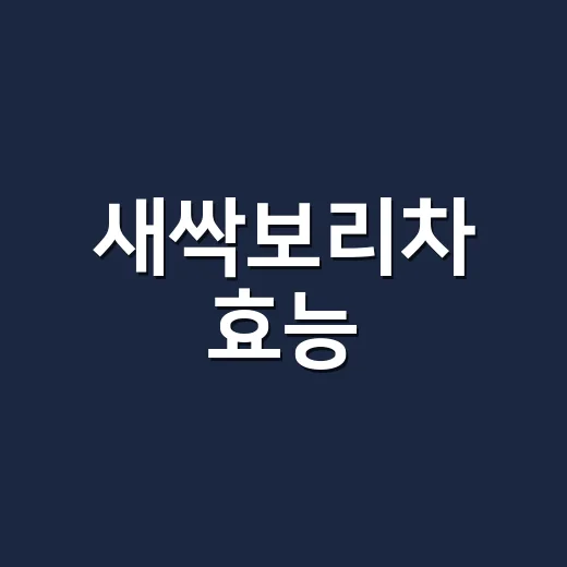 새싹보리차 효능, 혈당·콜레스테롤에 정말 기대해도 될까요? - 요약