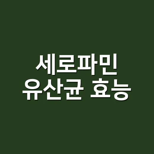 세로파민 유산균 효능, 기분까지 기대해도 괜찮을까요? - 요약
