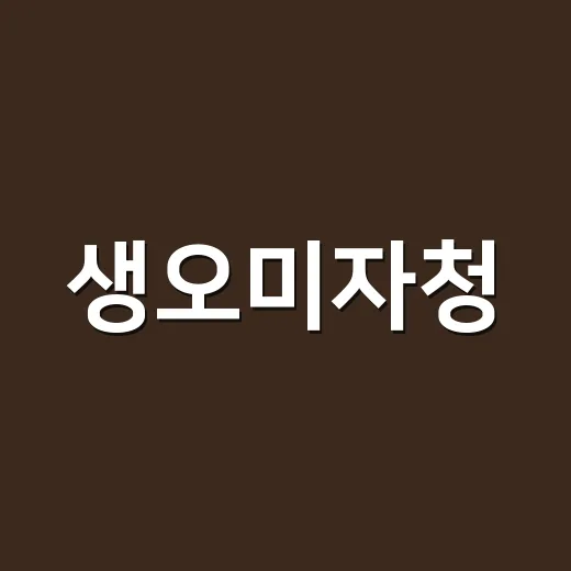 생오미자청, 매일 마셔도 괜찮을까요? - 요약