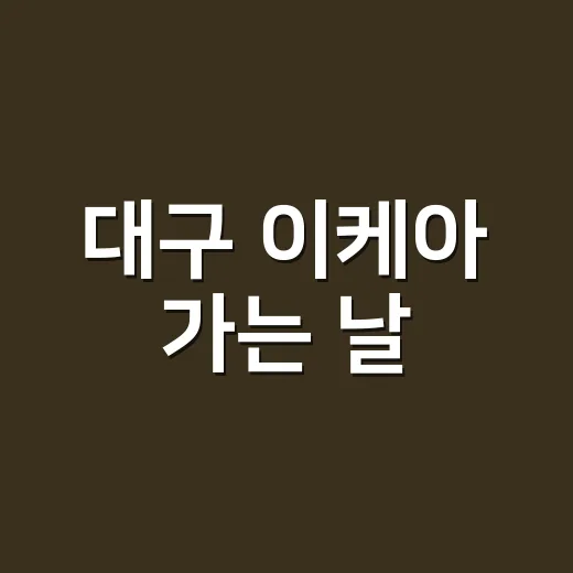 대구 이케아 가는 날, 영양제와 약은 같이 챙겨도 될까요? - 요약