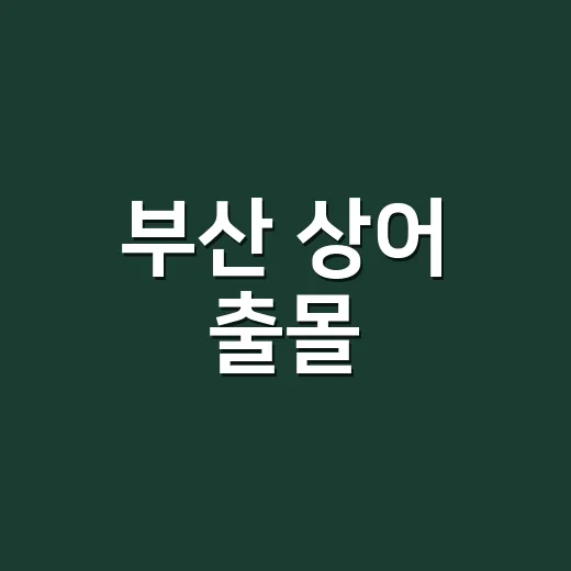 부산 상어 출몰, 구경 가도 괜찮을까요? - 요약