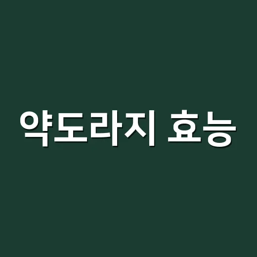약도라지 효능, 목에 좋다는데 감기약이랑 같이 먹어도 될까요? - 요약