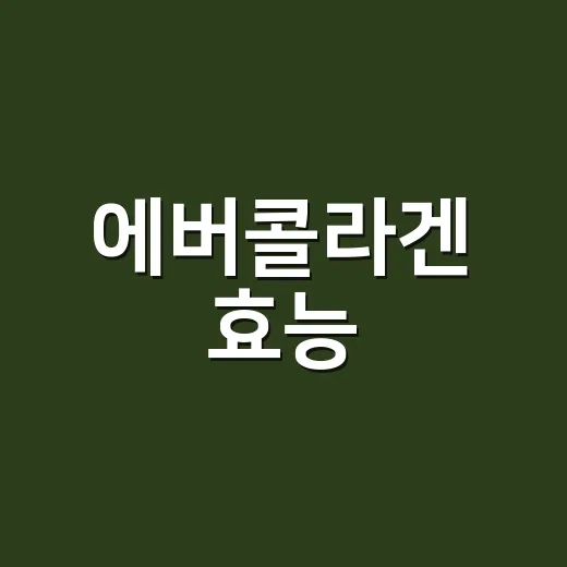 에버콜라겐 효능, 피부 보습에 정말 체감이 있을까요? - 요약