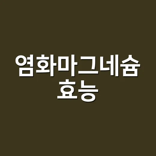 염화마그네슘 효능, 흡수가 좋다는데 같이 먹어도 괜찮을까요? - 요약
