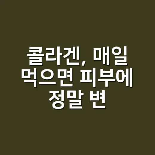 콜라겐, 매일 먹으면 피부에 정말 변화가 있을까요? - 요약