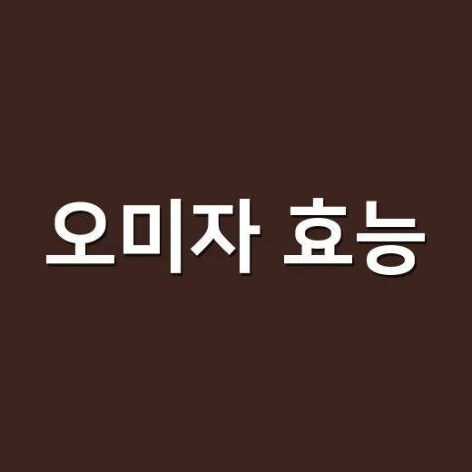 오미자 효능, 피로와 갱년기에 정말 도움이 될까요? - 요약