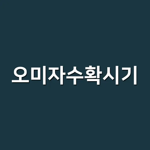오미자수확시기, 언제 딴 것이 맛과 품질이 좋을까요? - 요약