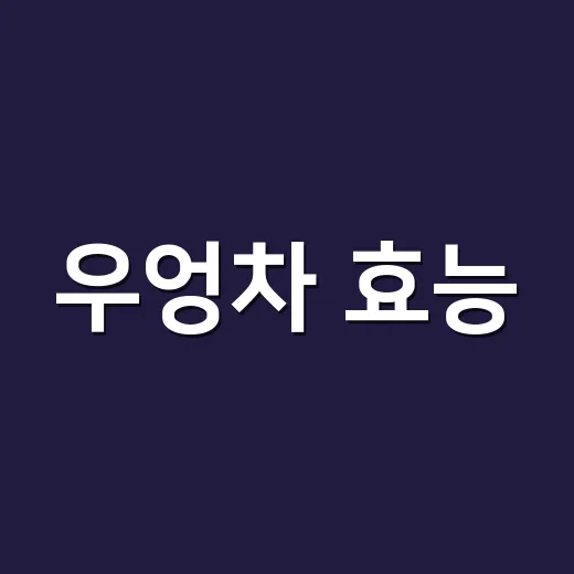우엉차 효능, 간에 정말 좋다고 마셔도 괜찮을까요? - 요약
