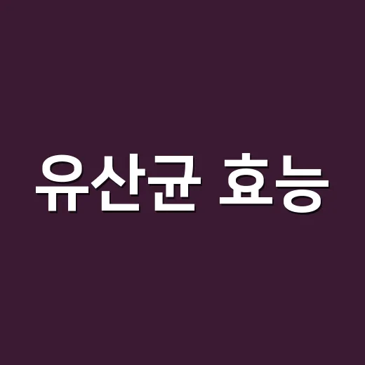 유산균 효능, 매일 먹으면 정말 장이 달라질까요? - 요약