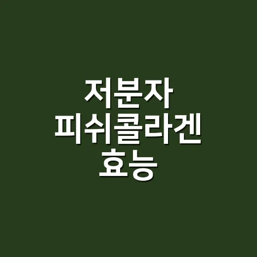 저분자 피쉬콜라겐 효능, 피부와 관절에 정말 도움이 될까요? - 요약