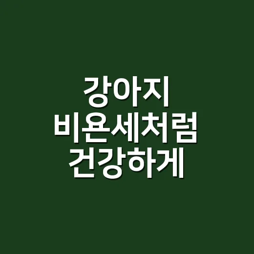 강아지 비욘세처럼 건강하게 키우려면 영양제 같이 먹여도 될까요? - 요약