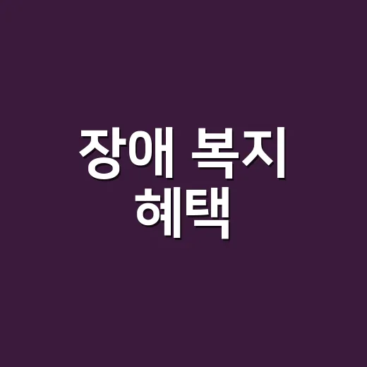 장애 복지 혜택, 나는 어떤 지원을 받을 수 있을까요? - 요약