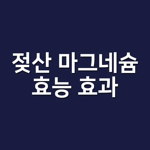 젖산 마그네슘 효능 효과, 속이 예민한 분도 먹기 괜찮을까요? - 요약