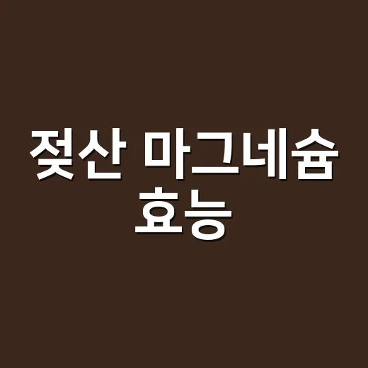 젖산 마그네슘 효능, 근육 경련과 피로에 정말 도움이 될까요? - 요약