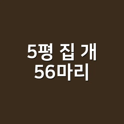 5평 집 개 56마리, 사람 건강에는 어떤 문제가 생길 수 있을까요? - 요약