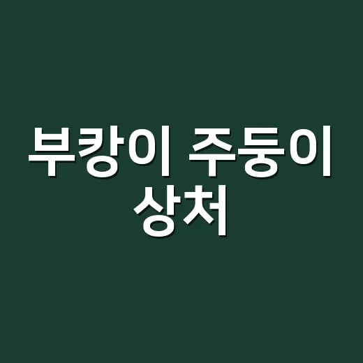 부캉이 주둥이 상처, 집에서 지켜봐도 되는 걸까요? - 요약