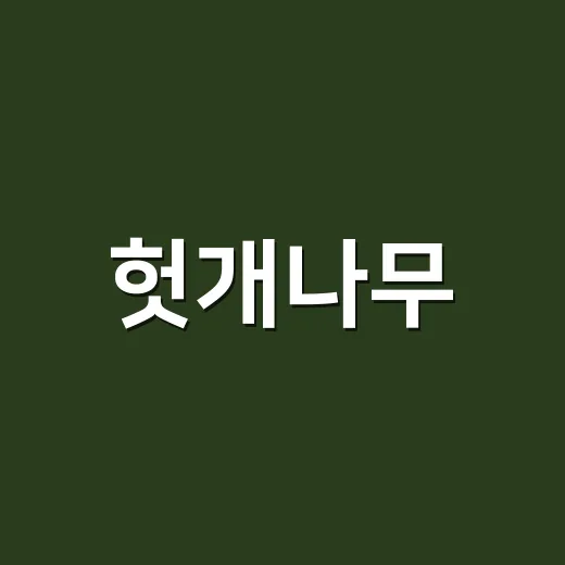 헛개나무, 술 마신 다음 날에만 먹어도 될까요? - 요약