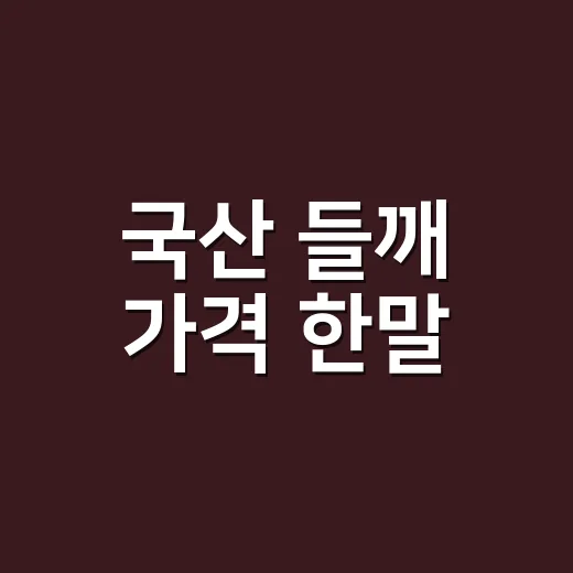 국산 들깨 가격 한말, 얼마가 적당할까요? - 요약