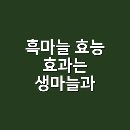 흑마늘 효능 효과는 생마늘과 얼마나 다를까요? - 요약