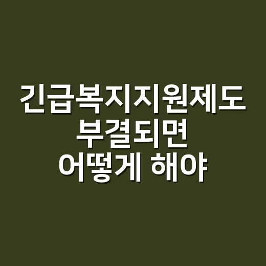 긴급복지지원제도 부결되면 어떻게 해야 할까요? - 요약