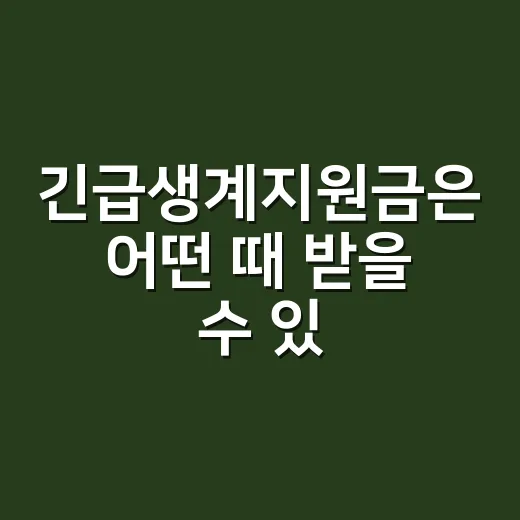 긴급생계지원금은 어떤 때 받을 수 있나요? - 요약