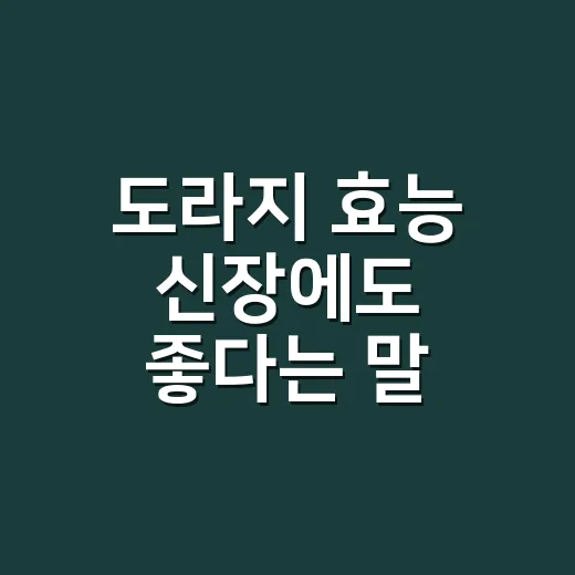 도라지 효능 신장에도 좋다는 말, 믿어도 될까요? - 요약