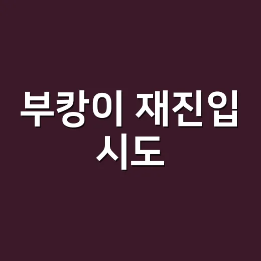 부캉이 재진입 시도, 다시 수로에 들어간 걸까요? - 요약