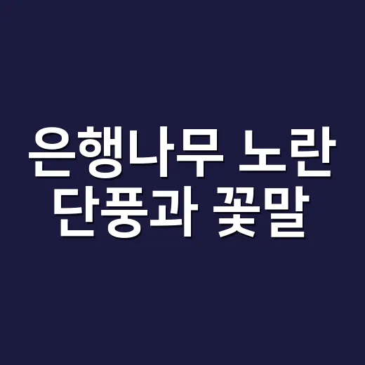 은행나무 노란 단풍과 꽃말, 상강 날짜가 궁금하신가요? - 요약