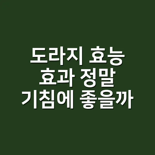 도라지 효능 효과 정말 기침에 좋을까요? - 요약