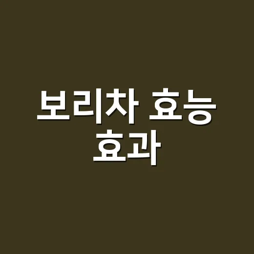 보리차 효능 효과, 물 대신 마셔도 될까요? - 요약