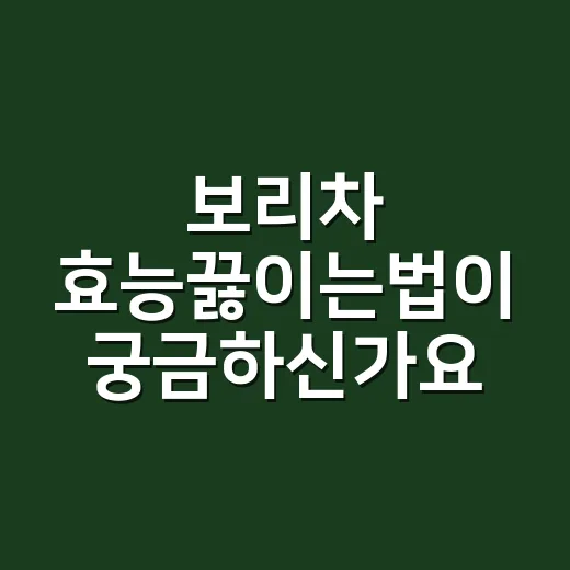 보리차 효능끓이는법이 궁금하신가요? - 요약