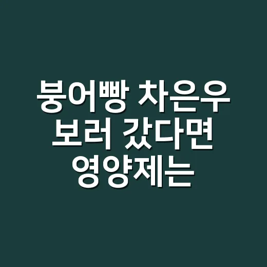붕어빵 차은우 보러 갔다면 영양제는 언제 먹나요? - 요약