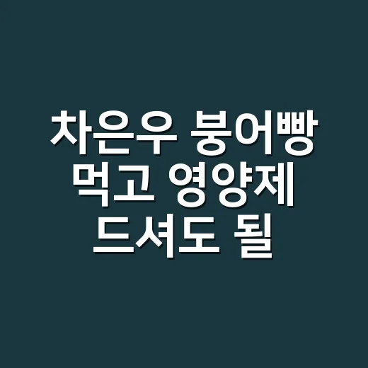 차은우 붕어빵 먹고 영양제 드셔도 될까요? - 요약