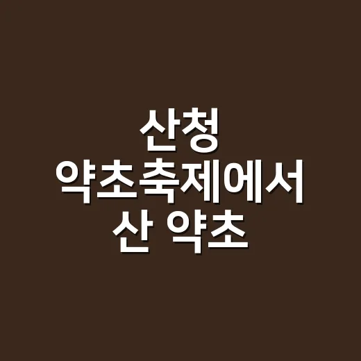 산청 약초축제에서 산 약초, 약과 함께 먹어도 될까요? - 요약