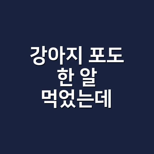 강아지 포도 한 알 먹었는데 괜찮을까요? - 요약